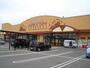 スーパー　フードオアシスOTANI五代店（スーパー）まで379m