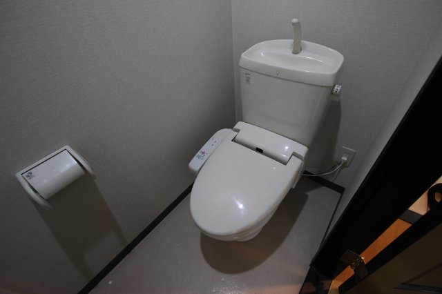 トイレ　同物件別号室のものです。