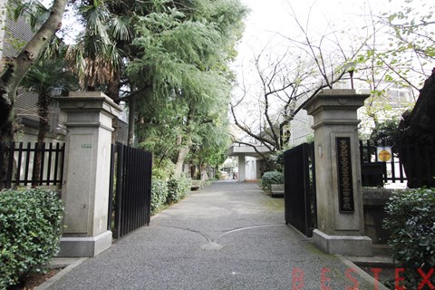 中学校　文京区立第三中学校（中学校）まで519m