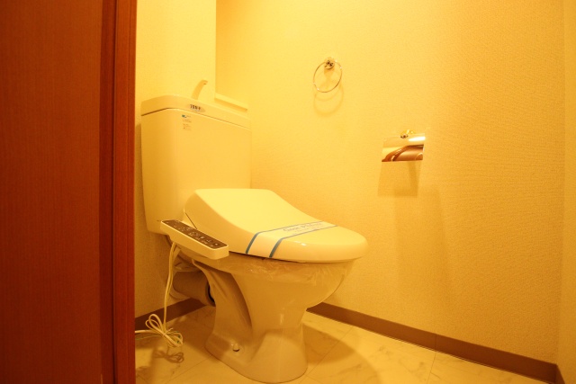 トイレ　他のお部屋の参考写真です。
