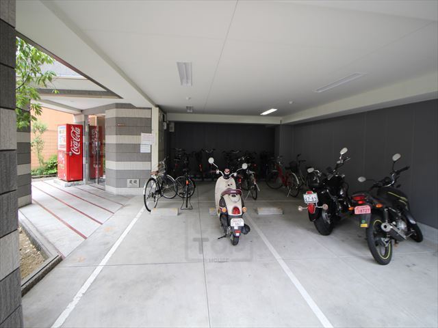 庭