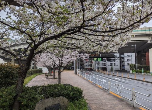 公園　箱崎川第一公園（公園）まで61m