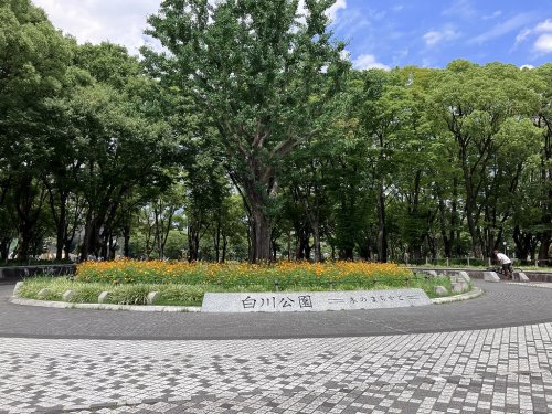 公園　白川公園（公園）まで465m