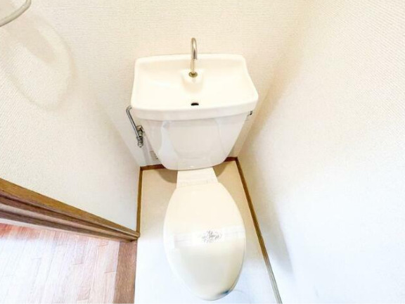 トイレ　トイレです