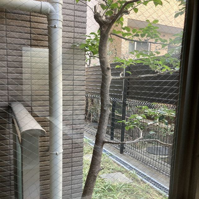 その他　洋室７帖から緑