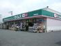 ドラックストア　ドラッグセイムス神明町店（ドラッグストア）まで540m