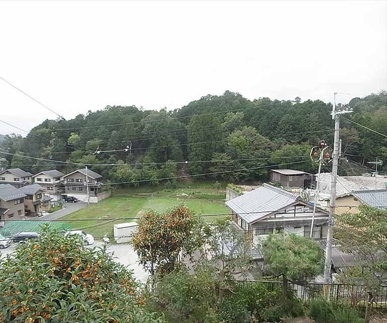 眺望　風景