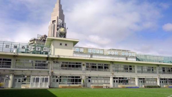小学校　渋谷区立鳩森小学校（小学校）まで245m
