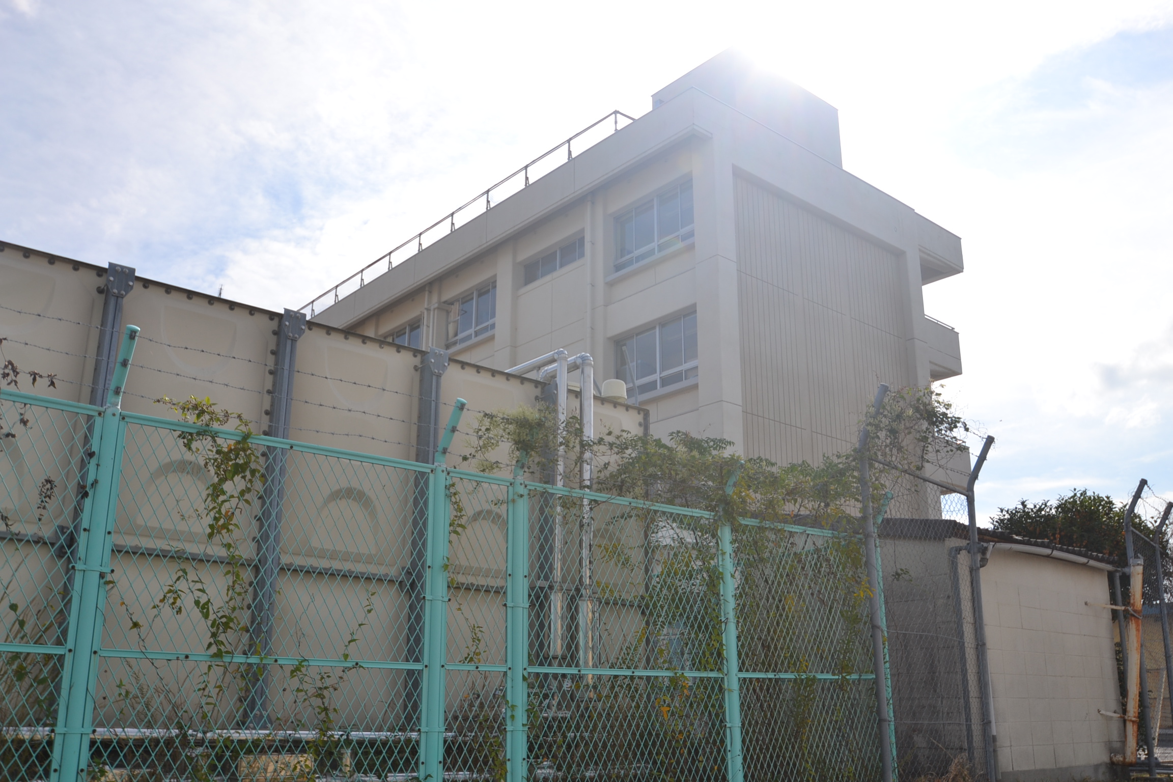 小学校　私立鶴学園なぎさ公園小学校（小学校）まで507m