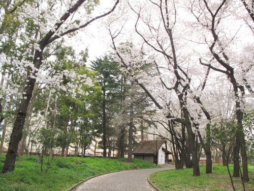 公園　北区中央公園（公園）まで593m