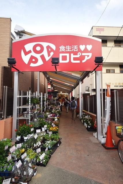 スーパー　ロピア希望が丘店（スーパー）まで652m