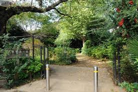 公園　十条野鳥の森緑地（公園）まで140m
