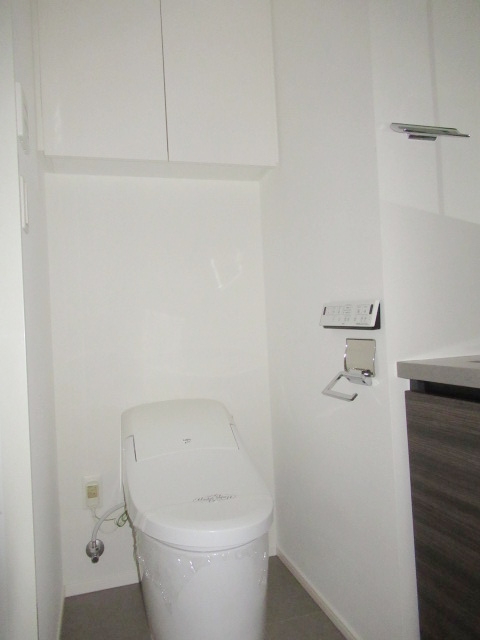 ザ・パークハビオ西横浜のトイレ写真
