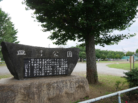 公園　皿沼公園（公園）まで246m