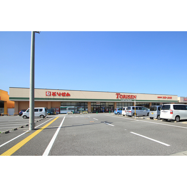 スーパー　とりせん木田余店（スーパー）まで1234m