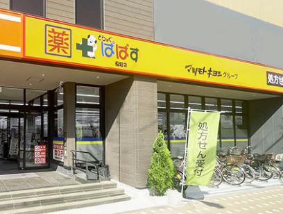 ドラックストア　どらっぐぱぱす 小石川1丁目店（ドラッグストア）まで159m