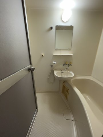 バス・シャワールーム　イメージとして同建物他部屋を表示しています
