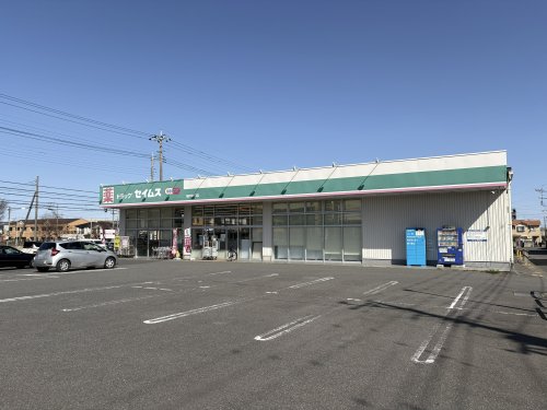 ドラックストア　ドラッグセイムス（ドラッグストア）まで173m