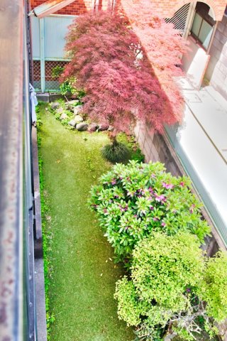 眺望　☆眺望☆