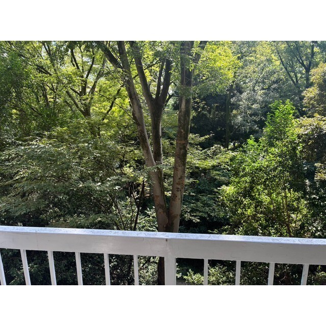 六義園第5コーポのその他写真