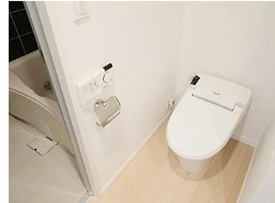 トイレ　トイレも気になるポイント