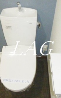トイレ　トイレです。