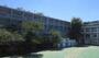 小学校　渋谷区立神宮前小学校（小学校）まで183m