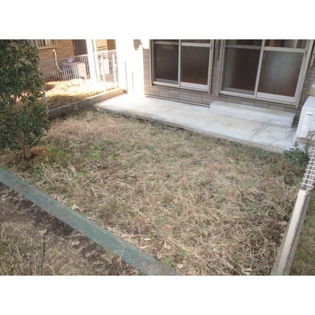 庭