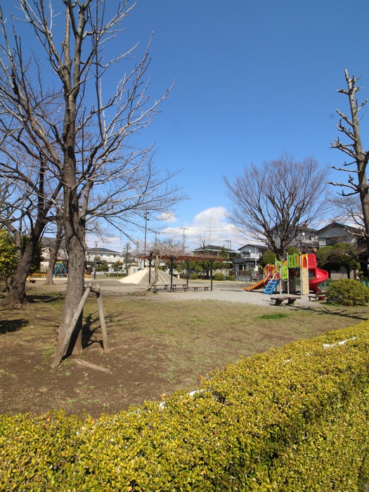 公園　瀬崎氷川公園（公園）まで400m
