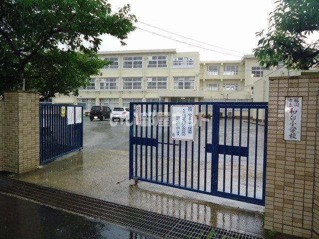 小学校　福岡市立和白小学校（小学校）まで767m