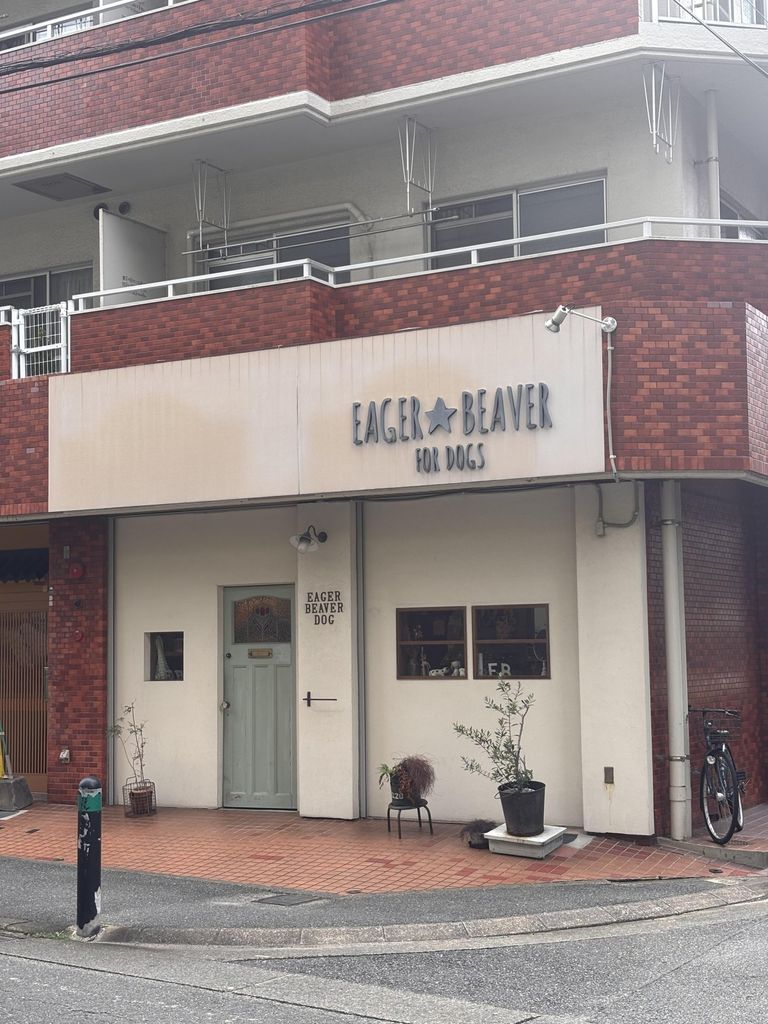 その他　EAGER BEAVERペットショップ（その他）まで260m
