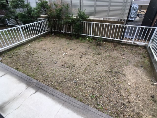 庭