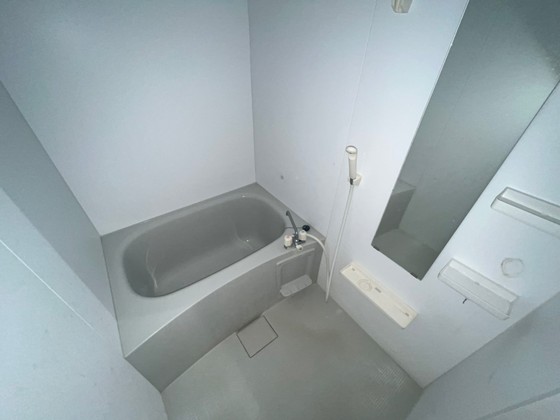 バス・シャワールーム　※別部屋の写真です