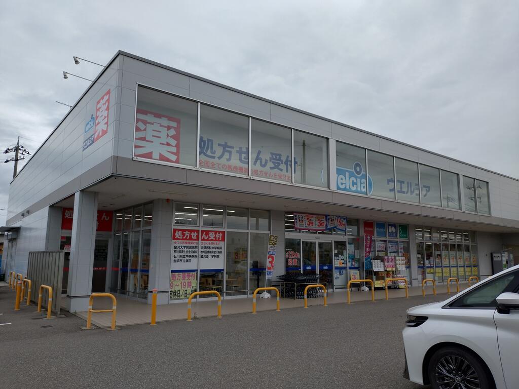 ドラックストア　ウエルシア金沢直江店（ドラッグストア）まで1053m