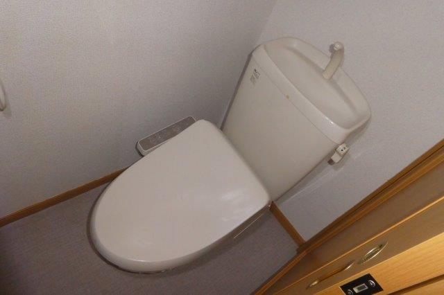 アモロッソTOMOのトイレ写真