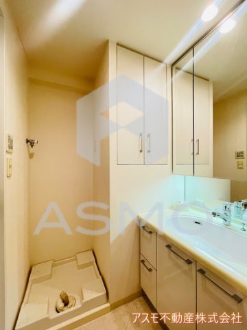 洗面設備　同マンション別部屋参考写真