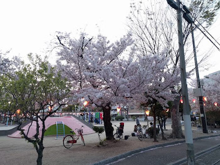 公園　立葉町公園（公園）まで40m