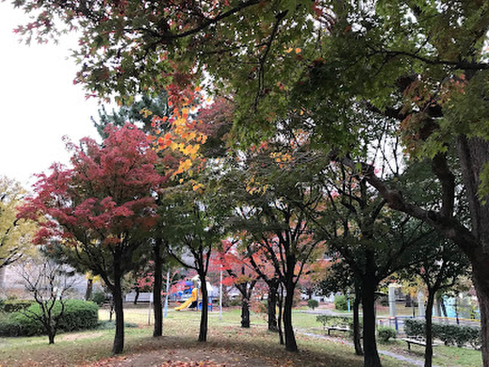 公園　桜川公園（公園）まで120m