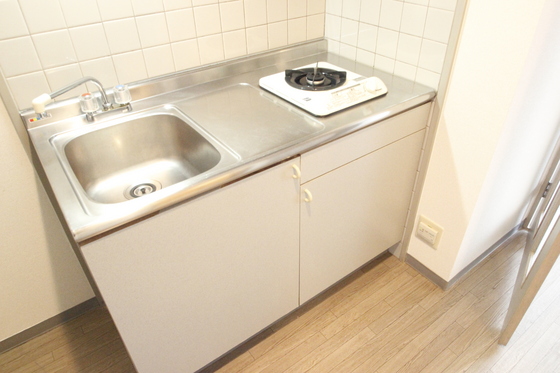 キッチン　※別号室の写真です