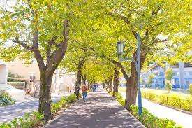 公園　花と緑の散歩道（公園）まで1086m