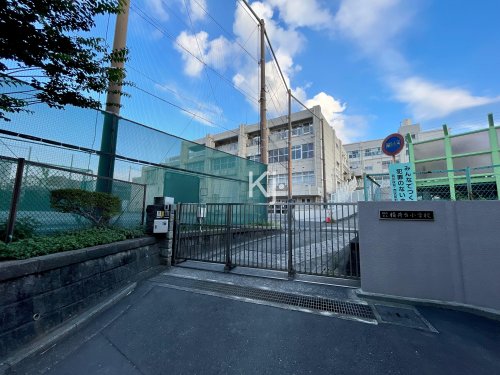小学校　横浜市立稲荷台小学校（小学校）まで566m