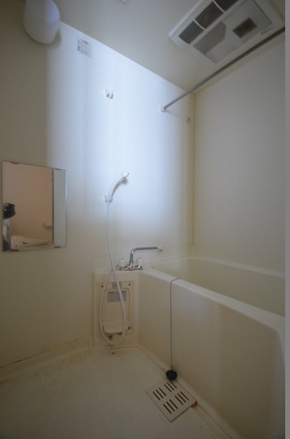 バス・シャワールーム　※同建物・別号室の写真です