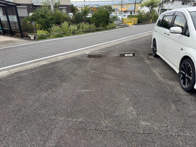 COSMOSのその他写真