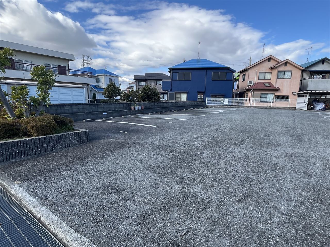 シーライトのその他写真