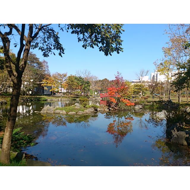 【パークヒルズ（住吉）の公園】