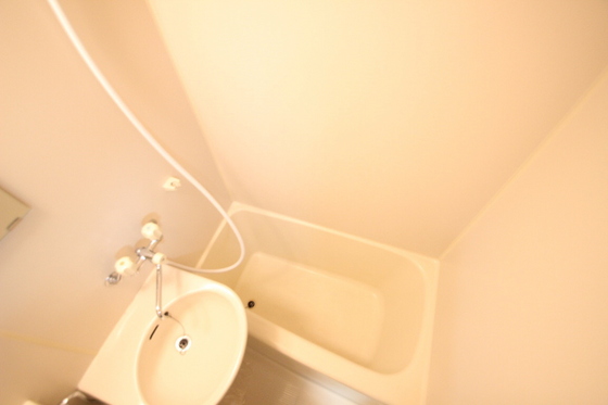 バス・シャワールーム　他の部屋のお写真になります。