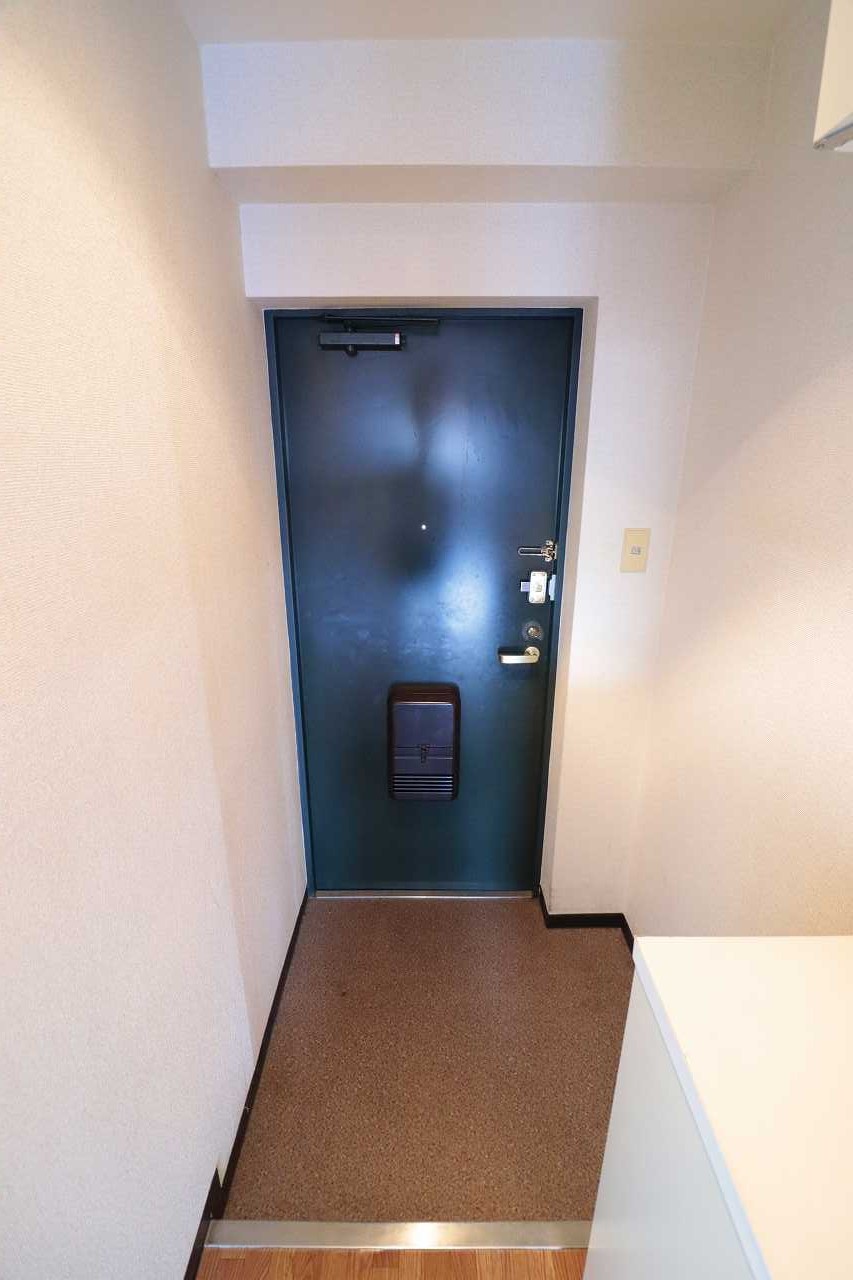 玄関　※同物件、別部屋の写真です。