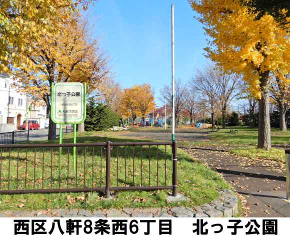 公園　北っこ公園（公園）まで482m