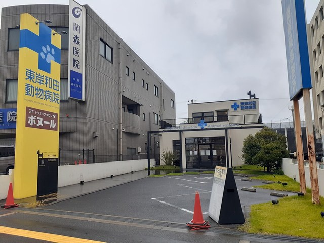 病院　東岸和田動物病院様（病院）まで1243m