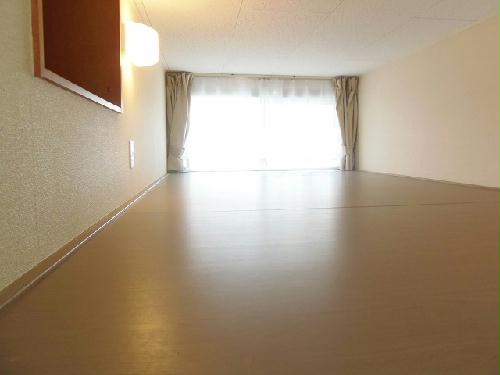 その他　ロフト部分になります